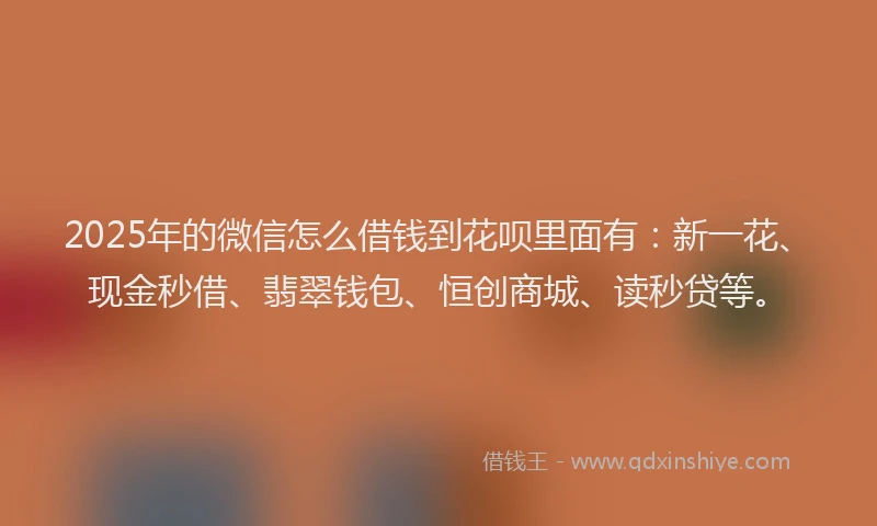 2025年的微信怎么借钱到花呗里面有：新一花、现金秒借、翡翠钱包、恒创商城、读秒贷等。