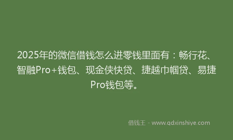 2025年的微信借钱怎么进零钱里面有：畅行花、智融Pro+钱包、现金侠快贷、捷越巾帼贷、易捷Pro钱包等。