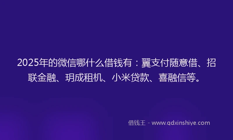 2025年的微信哪什么借钱有：翼支付随意借、招联金融、玥成租机、小米贷款、喜融信等。