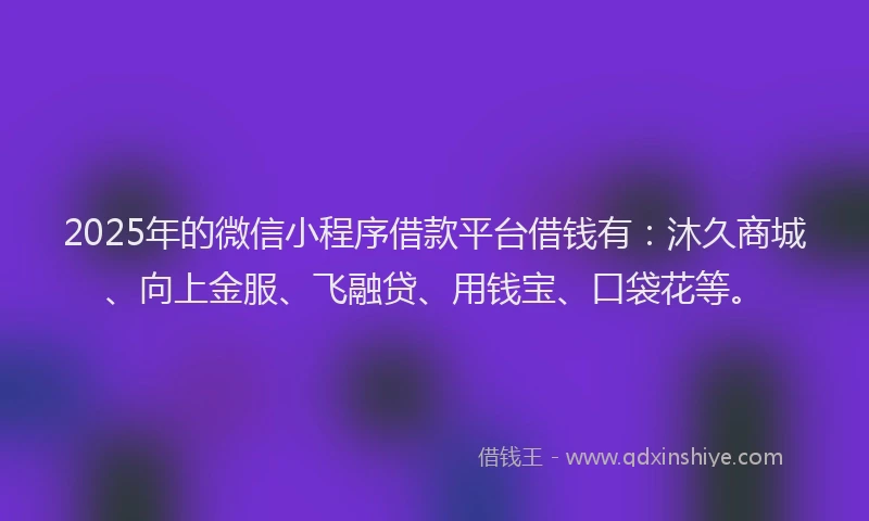 2025年的微信小程序借款平台借钱有：沐久商城、向上金服、飞融贷、用钱宝、口袋花等。