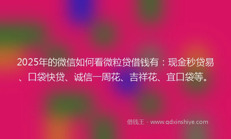 2025年的微信如何看微粒贷借钱有：现金秒贷易、口袋快贷、诚信一周花、吉祥花、宜口袋等。