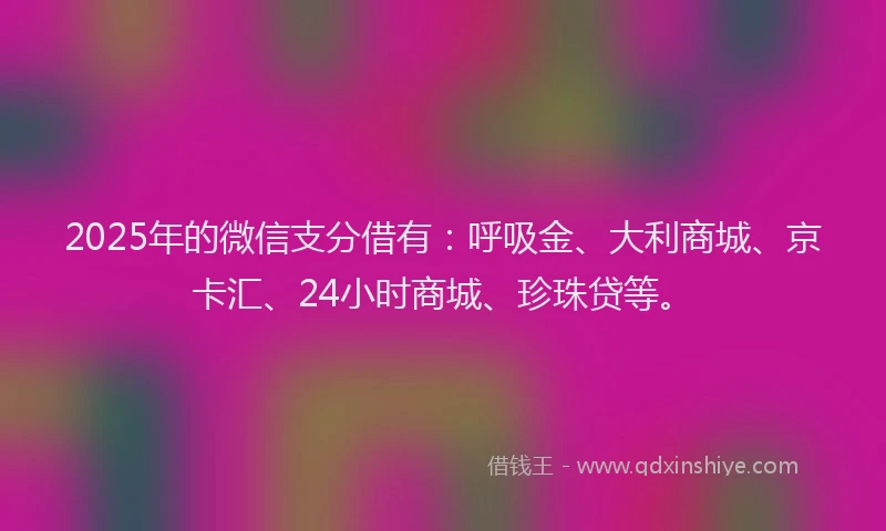 2025年的微信支分借有：呼吸金、大利商城、京卡汇、24小时商城、珍珠贷等。