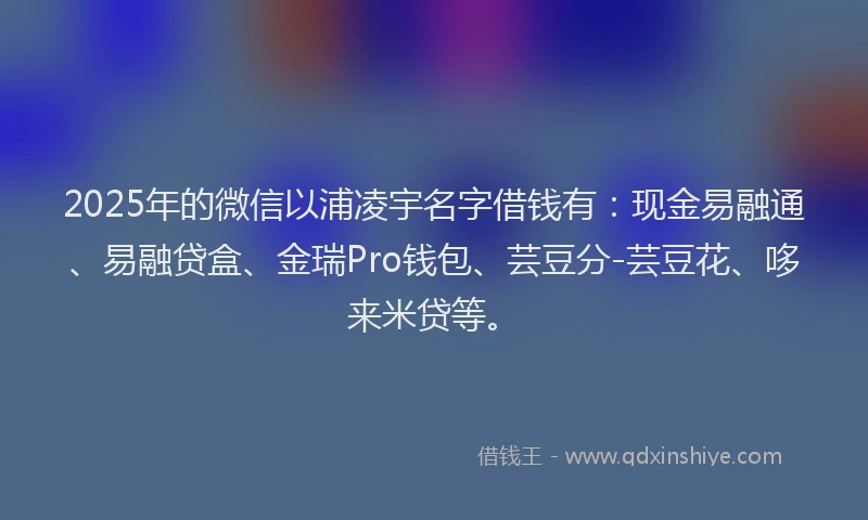 2025年的微信以浦凌宇名字借钱有：现金易融通、易融贷盒、金瑞Pro钱包、芸豆分-芸豆花、哆来米贷等。