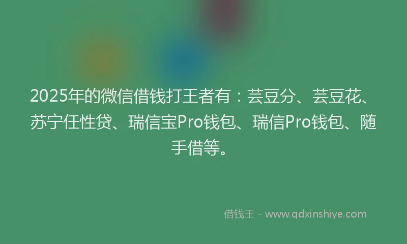 2025年的微信借钱打王者有：芸豆分、芸豆花、苏宁任性贷、瑞信宝Pro钱包、瑞信Pro钱包、随手借等。