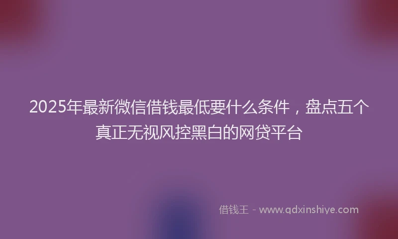 2025年最新微信借钱最低要什么条件，盘点五个真正无视风控黑白的网贷平台