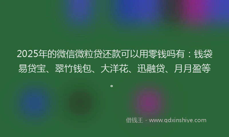 2025年的微信微粒贷还款可以用零钱吗有：钱袋易贷宝、翠竹钱包、大洋花、迅融贷、月月盈等。