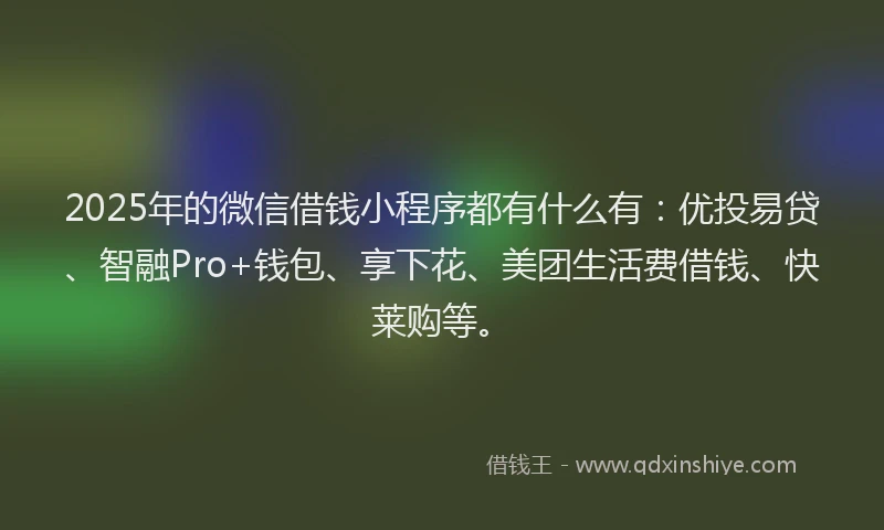 2025年的微信借钱小程序都有什么有：优投易贷、智融Pro+钱包、享下花、美团生活费借钱、快莱购等。