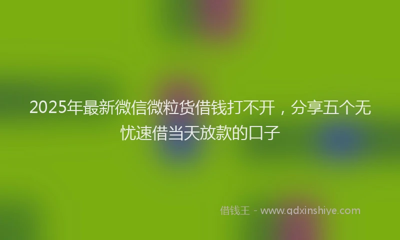 2025年最新微信微粒货借钱打不开，分享五个无忧速借当天放款的口子
