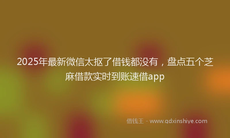 2025年最新微信太抠了借钱都没有，盘点五个芝麻借款实时到账速借app