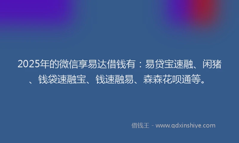 2025年的微信享易达借钱有：易贷宝速融、闲猪、钱袋速融宝、钱速融易、森森花呗通等。