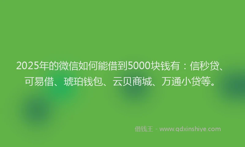 2025年的微信如何能借到5000块钱有：信秒贷、可易借、琥珀钱包、云贝商城、万通小贷等。