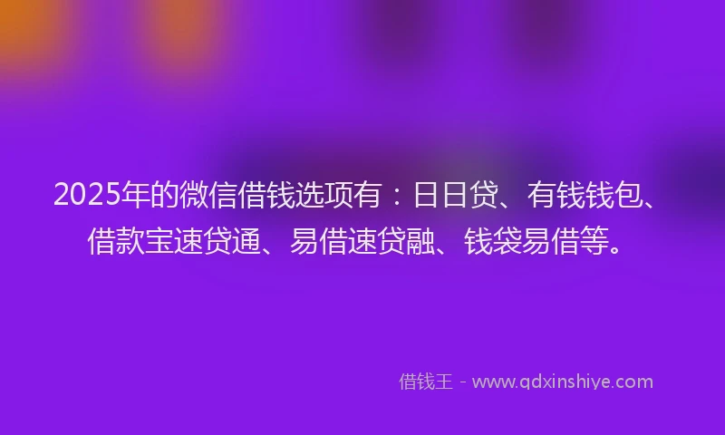 2025年的微信借钱选项有：日日贷、有钱钱包、借款宝速贷通、易借速贷融、钱袋易借等。