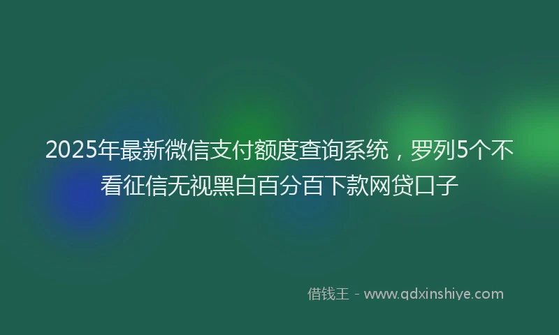 2025年最新微信支付额度查询系统，罗列5个不看征信无视黑白百分百下款网贷口子