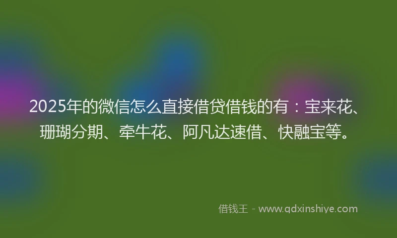 2025年的微信怎么直接借贷借钱的有：宝来花、珊瑚分期、牵牛花、阿凡达速借、快融宝等。