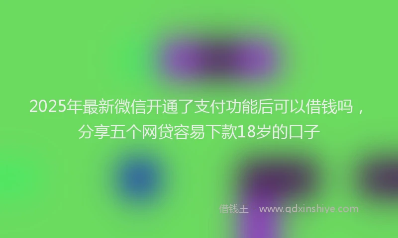 2025年最新微信开通了支付功能后可以借钱吗，分享五个网贷容易下款18岁的口子