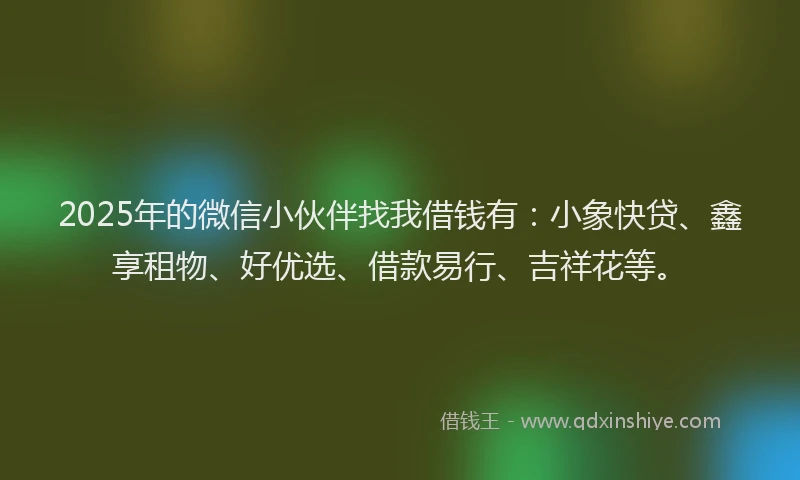 2025年的微信小伙伴找我借钱有：小象快贷、鑫享租物、好优选、借款易行、吉祥花等。