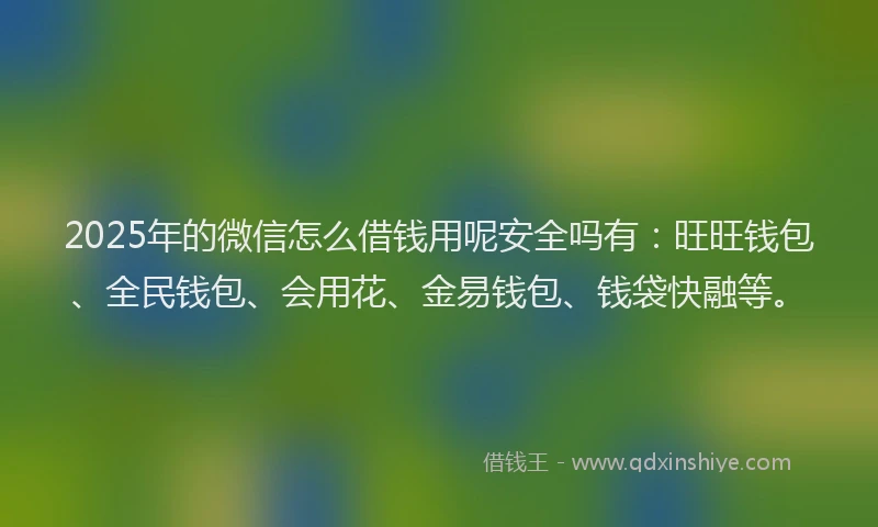 2025年的微信怎么借钱用呢安全吗有：旺旺钱包、全民钱包、会用花、金易钱包、钱袋快融等。
