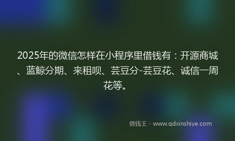 2025年的微信怎样在小程序里借钱有：开源商城、蓝鲸分期、来租呗、芸豆分-芸豆花、诚信一周花等。