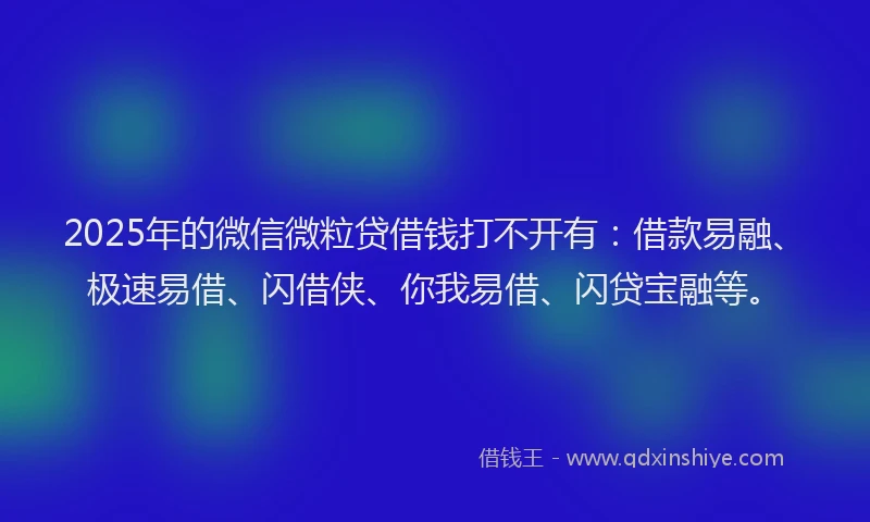 2025年的微信微粒贷借钱打不开有：借款易融、极速易借、闪借侠、你我易借、闪贷宝融等。