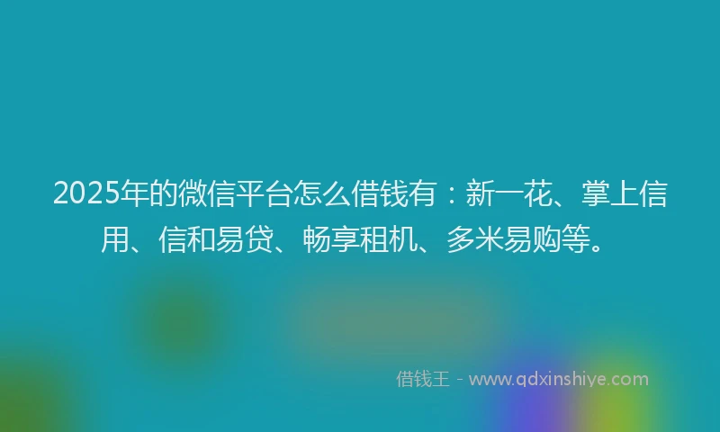 2025年的微信平台怎么借钱有：新一花、掌上信用、信和易贷、畅享租机、多米易购等。