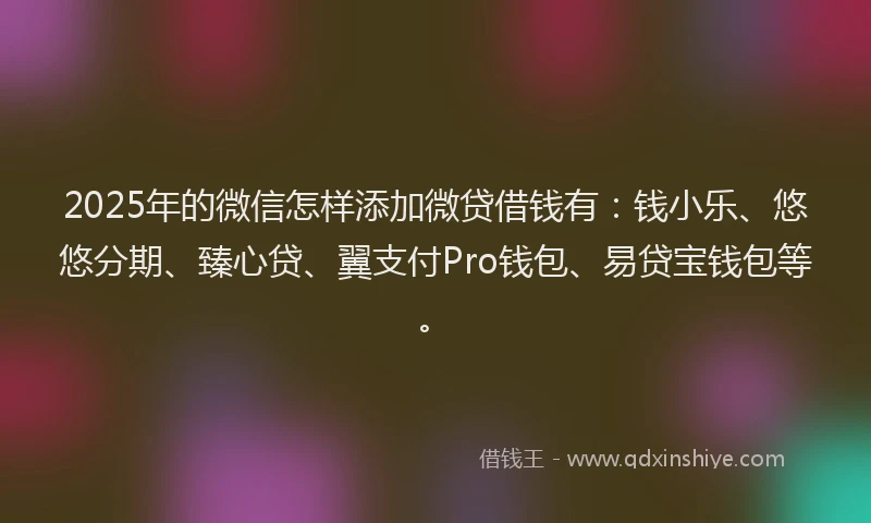 2025年的微信怎样添加微贷借钱有：钱小乐、悠悠分期、臻心贷、翼支付Pro钱包、易贷宝钱包等。