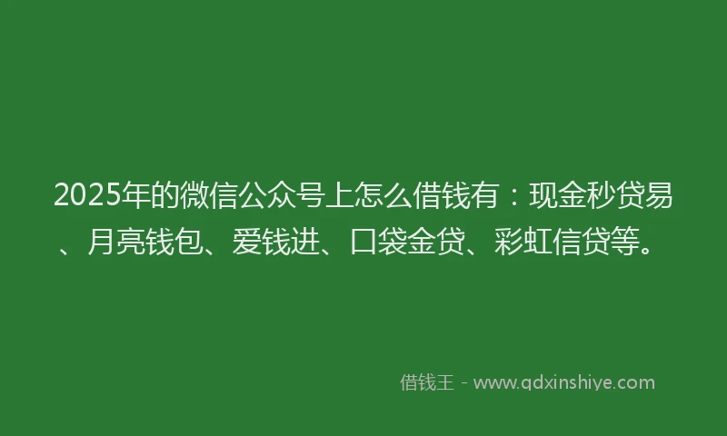 2025年的微信公众号上怎么借钱有：现金秒贷易、月亮钱包、爱钱进、口袋金贷、彩虹信贷等。