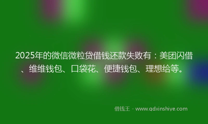 2025年的微信微粒贷借钱还款失败有：美团闪借、维维钱包、口袋花、便捷钱包、理想给等。