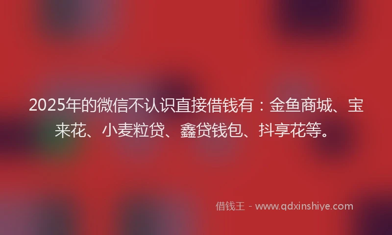 2025年的微信不认识直接借钱有：金鱼商城、宝来花、小麦粒贷、鑫贷钱包、抖享花等。