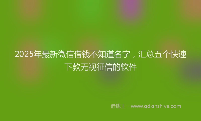 2025年最新微信借钱不知道名字，汇总五个快速下款无视征信的软件