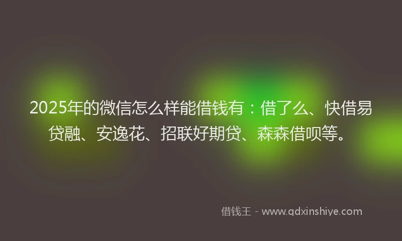 2025年的微信怎么样能借钱有：借了么、快借易贷融、安逸花、招联好期贷、森森借呗等。