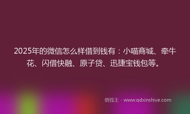 2025年的微信怎么样借到钱有：小喵商城、牵牛花、闪借快融、原子贷、迅捷宝钱包等。