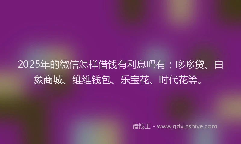 2025年的微信怎样借钱有利息吗有：哆哆贷、白象商城、维维钱包、乐宝花、时代花等。