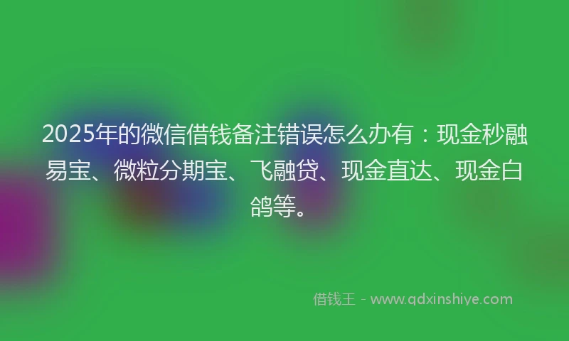 2025年的微信借钱备注错误怎么办有：现金秒融易宝、微粒分期宝、飞融贷、现金直达、现金白鸽等。