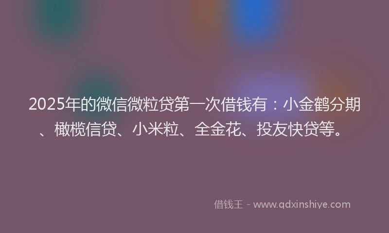 2025年的微信微粒贷第一次借钱有：小金鹤分期、橄榄信贷、小米粒、全金花、投友快贷等。