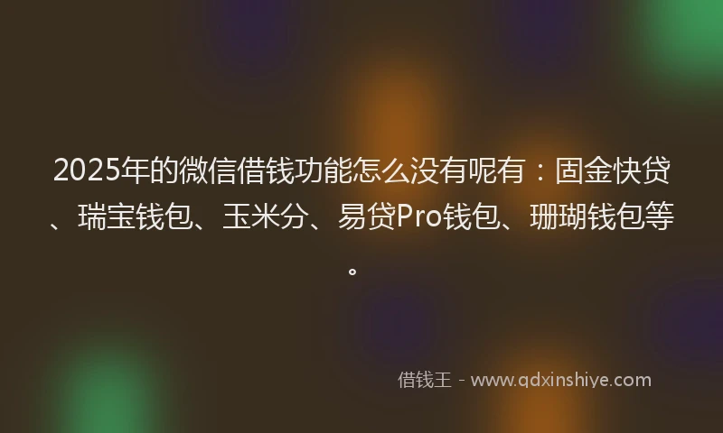 2025年的微信借钱功能怎么没有呢有：固金快贷、瑞宝钱包、玉米分、易贷Pro钱包、珊瑚钱包等。