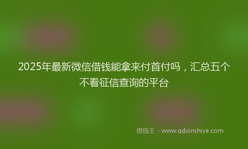 2025年最新微信借钱能拿来付首付吗，汇总五个不看征信查询的平台