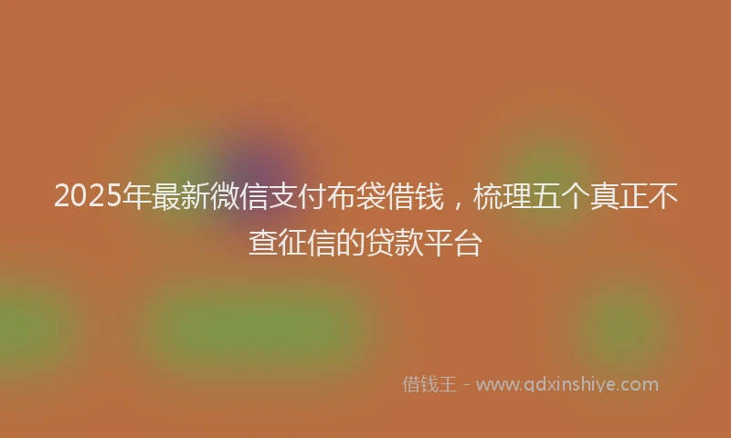 2025年最新微信支付布袋借钱，梳理五个真正不查征信的贷款平台