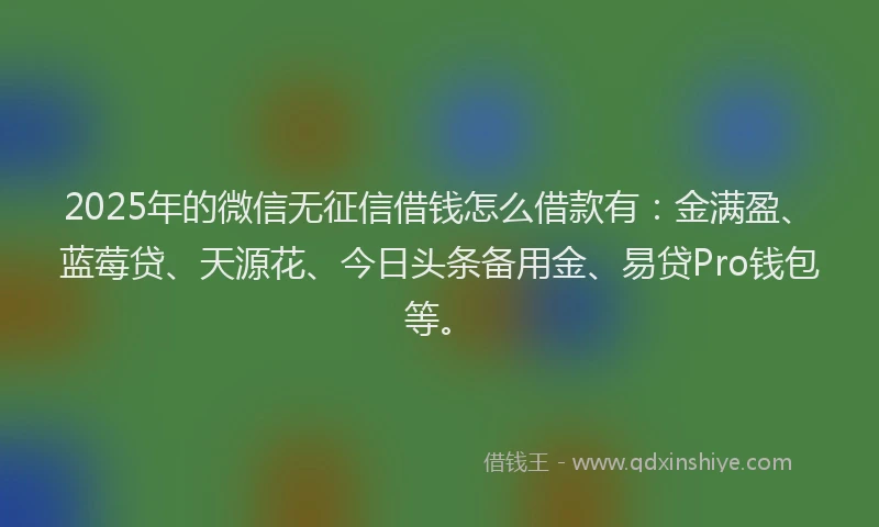 2025年的微信无征信借钱怎么借款有：金满盈、蓝莓贷、天源花、今日头条备用金、易贷Pro钱包等。