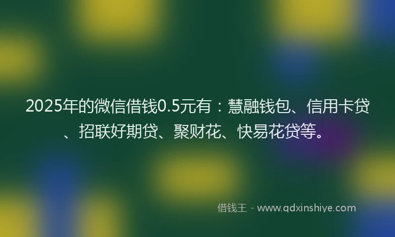 2025年的微信借钱0.5元有：慧融钱包、信用卡贷、招联好期贷、聚财花、快易花贷等。