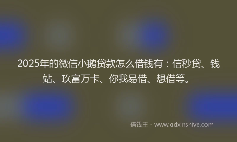 2025年的微信小鹅贷款怎么借钱有：信秒贷、钱站、玖富万卡、你我易借、想借等。
