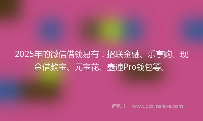 2025年的微信借钱易有：招联金融、乐享购、现金借款宝、元宝花、鑫速Pro钱包等。