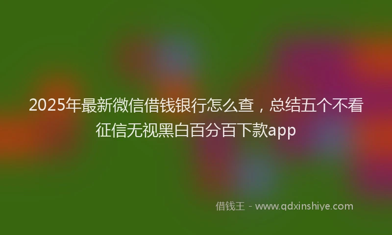 2025年最新微信借钱银行怎么查，总结五个不看征信无视黑白百分百下款app