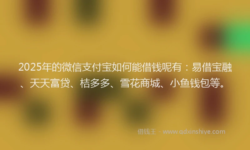 2025年的微信支付宝如何能借钱呢有：易借宝融、天天富贷、桔多多、雪花商城、小鱼钱包等。