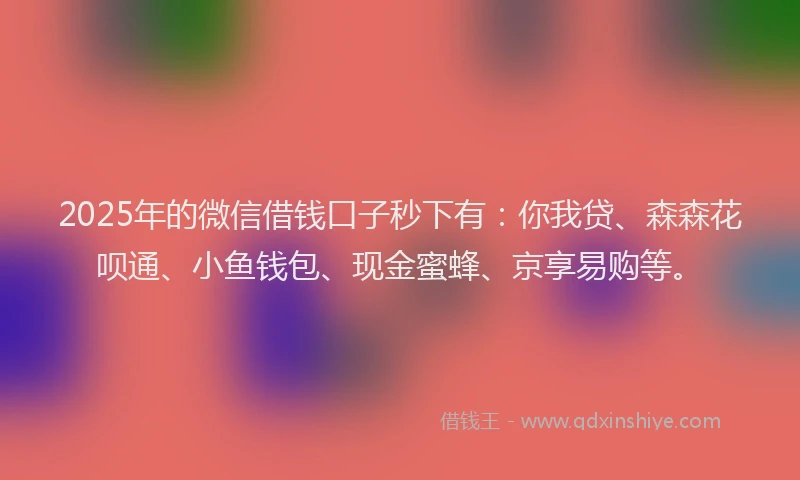 2025年的微信借钱口子秒下有：你我贷、森森花呗通、小鱼钱包、现金蜜蜂、京享易购等。