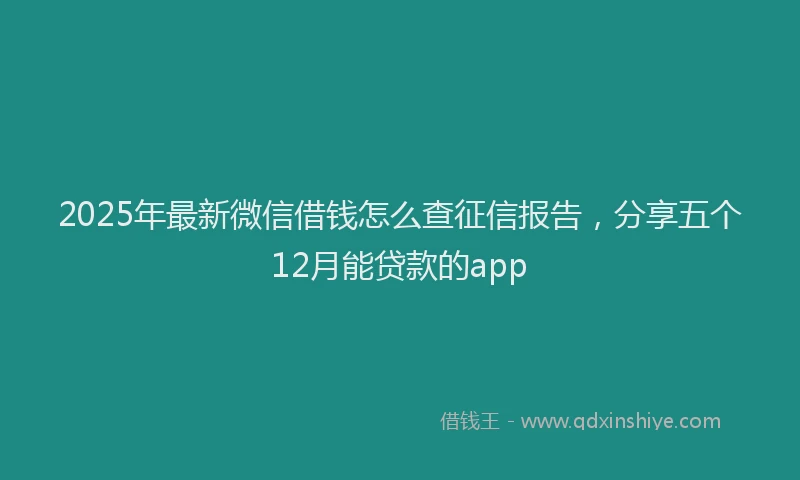 2025年最新微信借钱怎么查征信报告，分享五个12月能贷款的app