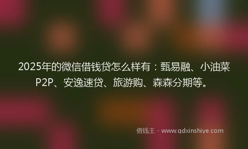 2025年的微信借钱贷怎么样有：甄易融、小油菜P2P、安逸速贷、旅游购、森森分期等。