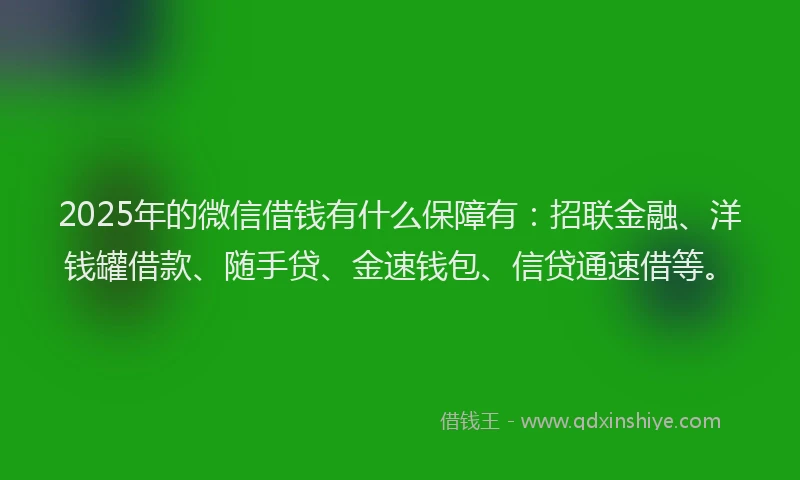 2025年的微信借钱有什么保障有：招联金融、洋钱罐借款、随手贷、金速钱包、信贷通速借等。