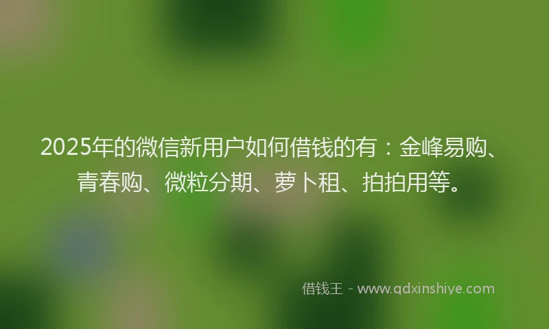 2025年的微信新用户如何借钱的有：金峰易购、青春购、微粒分期、萝卜租、拍拍用等。