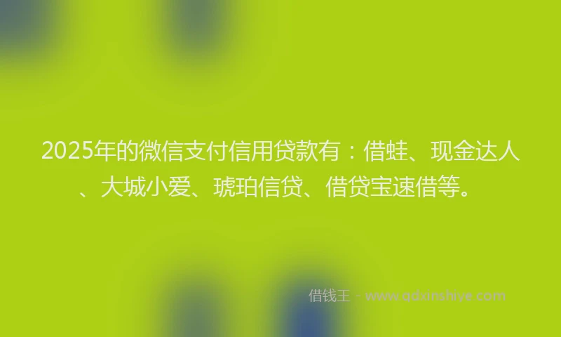 2025年的微信支付信用贷款有：借蛙、现金达人、大城小爱、琥珀信贷、借贷宝速借等。