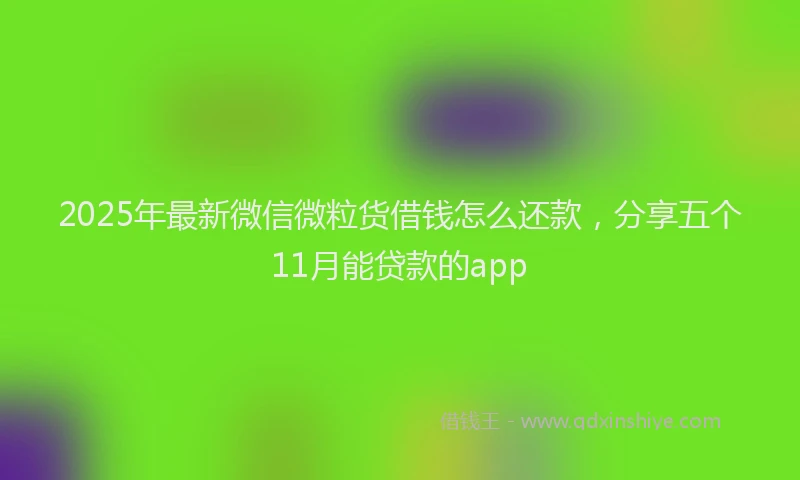 2025年最新微信微粒货借钱怎么还款，分享五个11月能贷款的app